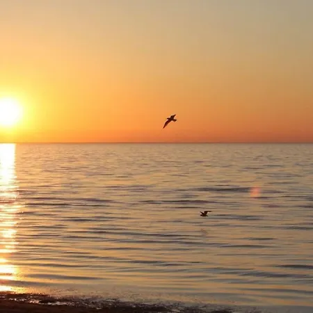 Impulsogolf Dom wakacyjny *